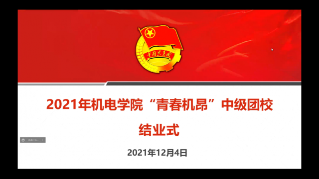 麻豆视频