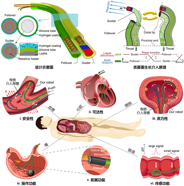 麻豆视频