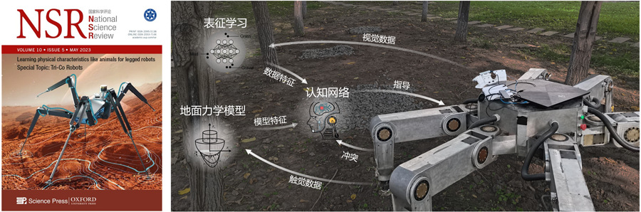 麻豆视频